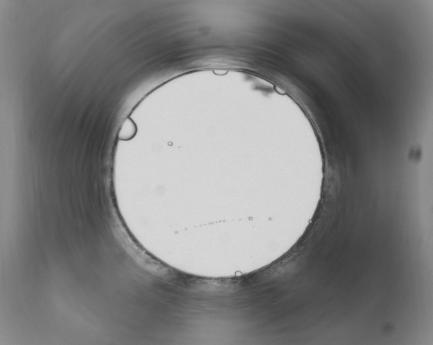 X0000110901195200907301559