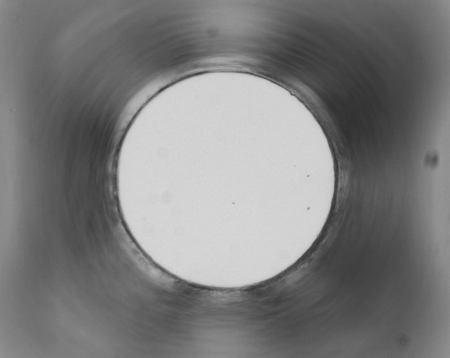 X0000110901196200907301559