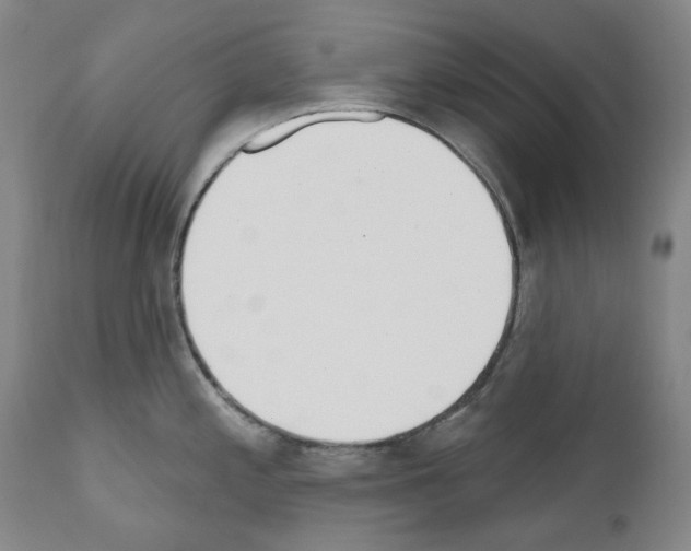 X0000110901197200907301559