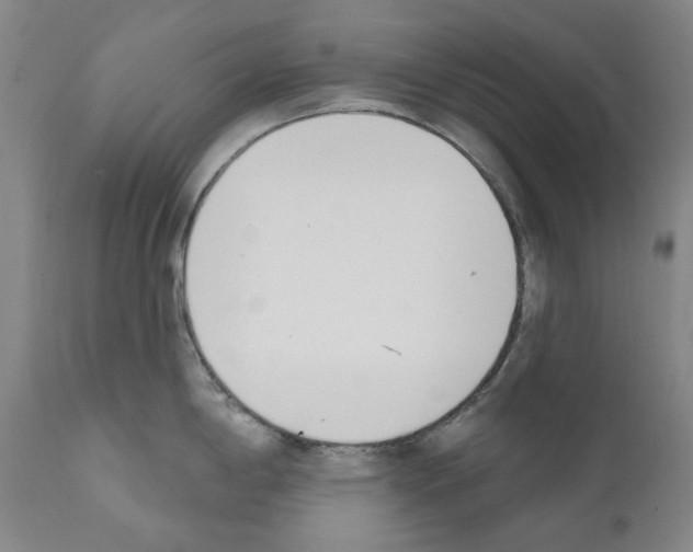 X0000110901198200907301559