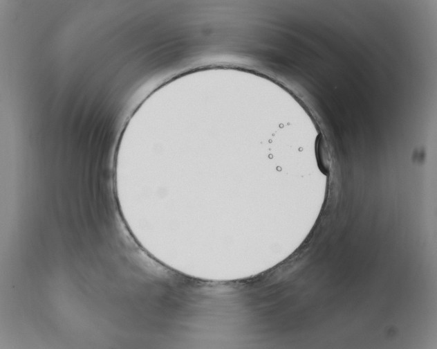 X0000110901199200907301559