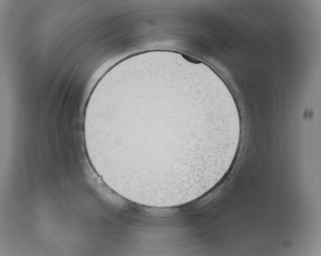 X0000110901200200907301559