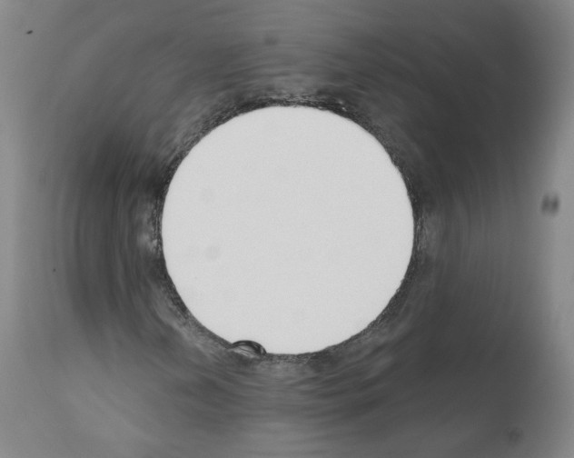 X0000110901202200907301558