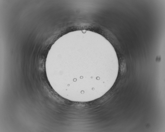 X0000110901204200907301558