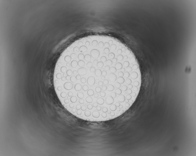 X0000110901205200907301558