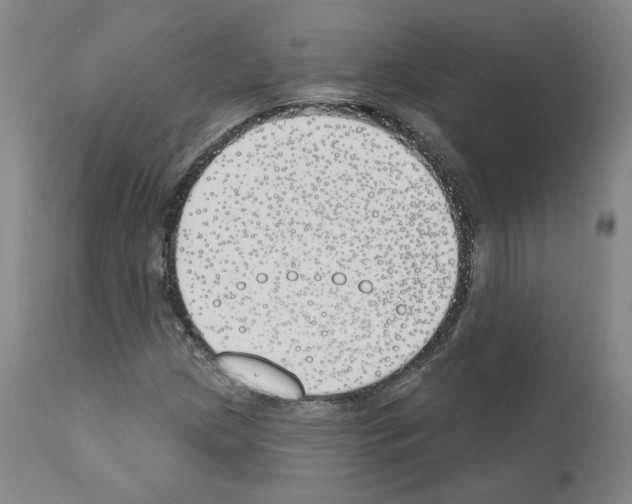 X0000110901209200907301558