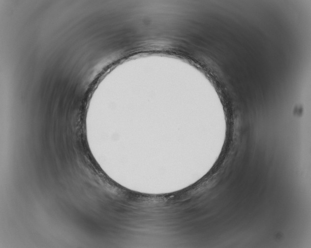 X0000110901210200907301558