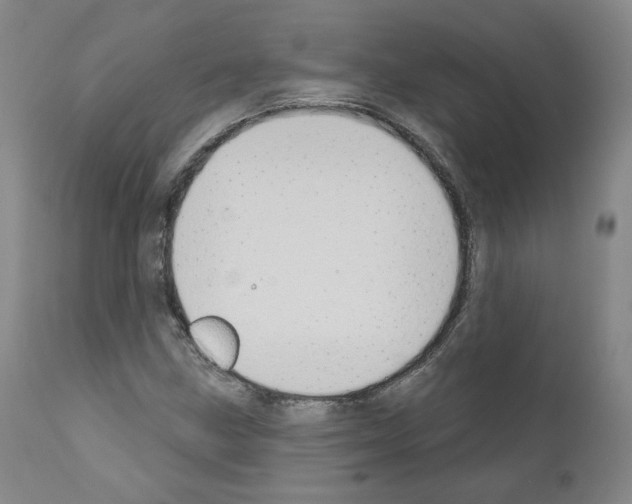 X0000110901211200907301559