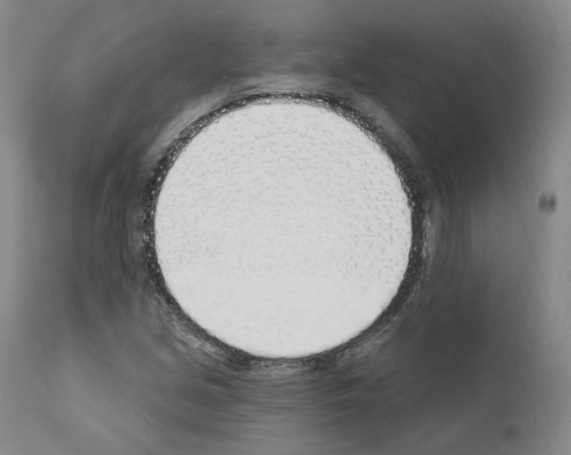 X0000110901213200907301559