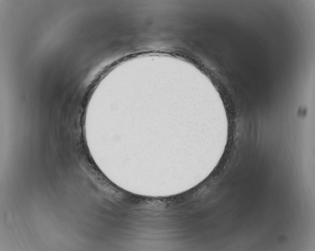 X0000110901214200907301559