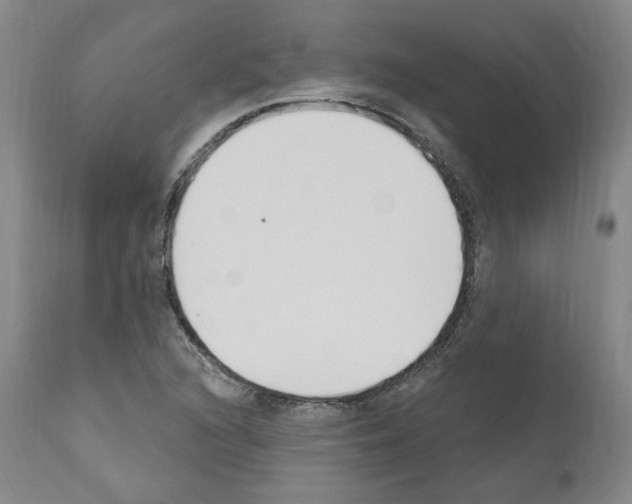 X0000110901216200907301559