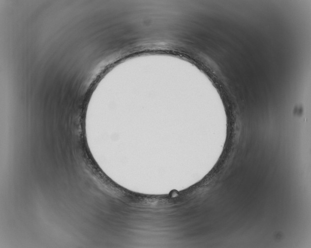 X0000110901218200907301559