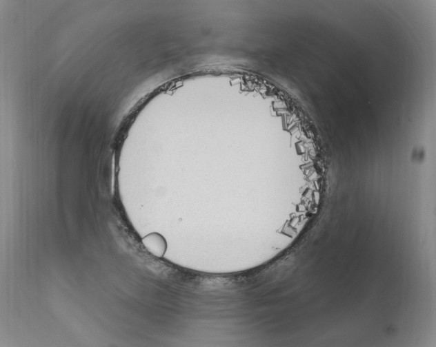 X0000110901219200907301559