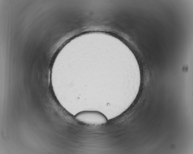 X0000110901221200907301559