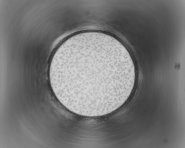 X0000110901222200907301559