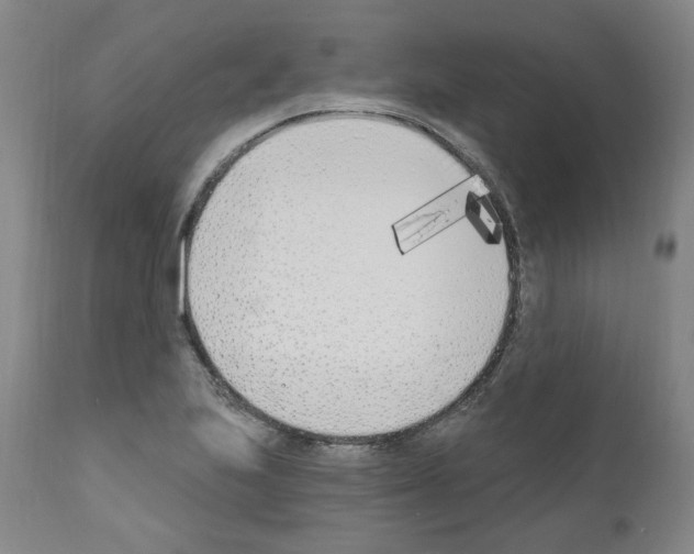 X0000110901223200907301559