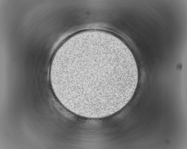 X0000110901224200907301559