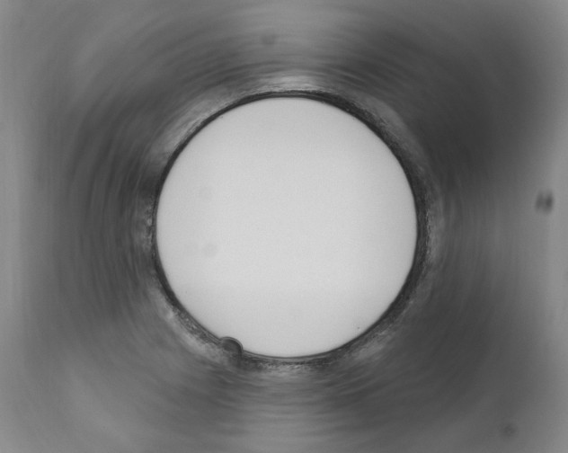 X0000110901225200907301559