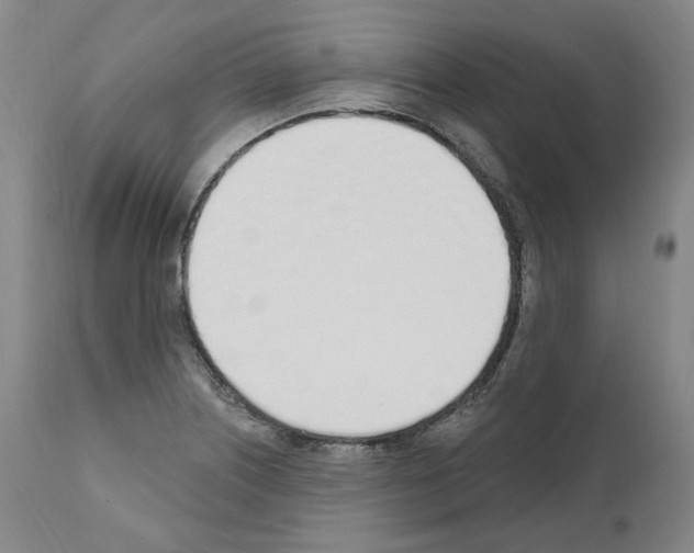 X0000110901226200907301559