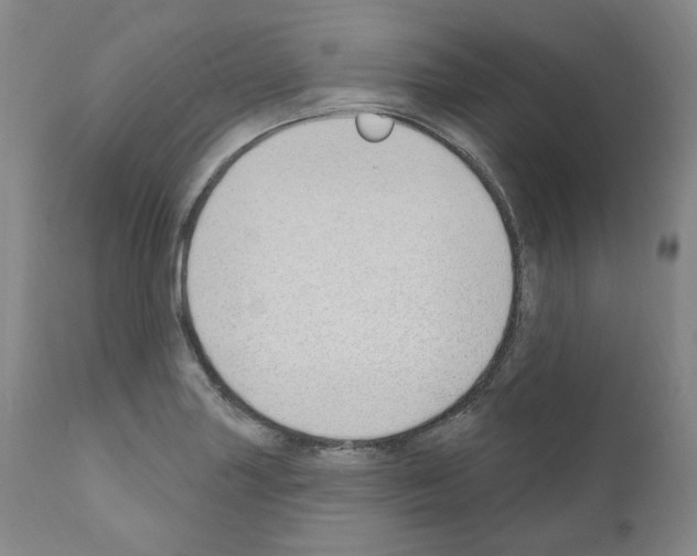 X0000110901227200907301559