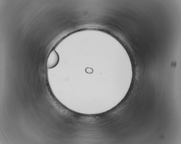 X0000110901229200907301559