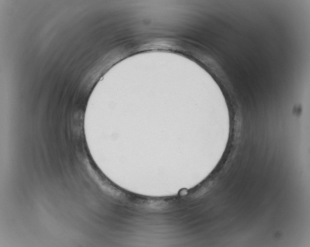 X0000110901233200907301559