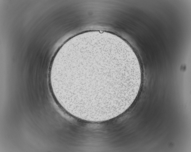 X0000110901237200907301559