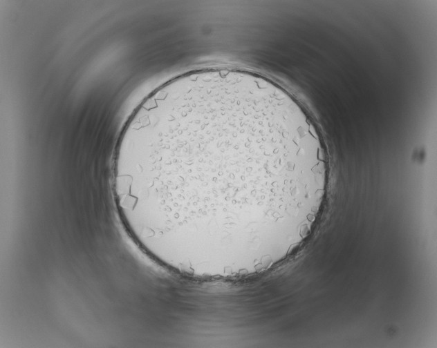 X0000110901239200907301559