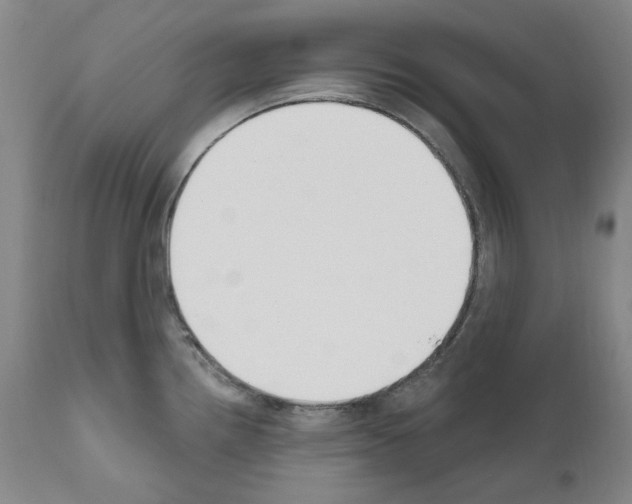 X0000110901242200907301559