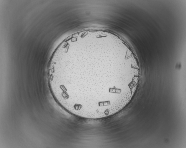 X0000110901243200907301559