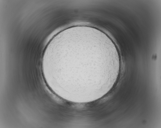 X0000110901245200907301559