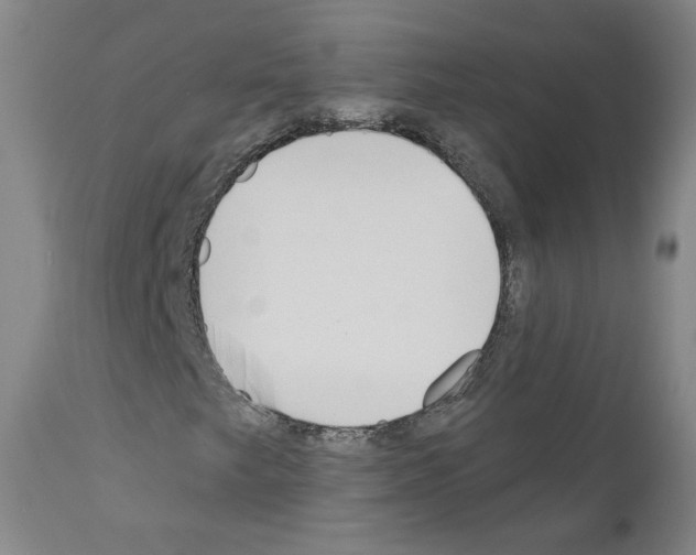 X0000110901249200907301558