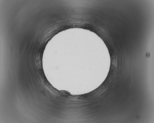 X0000110901252200907301558