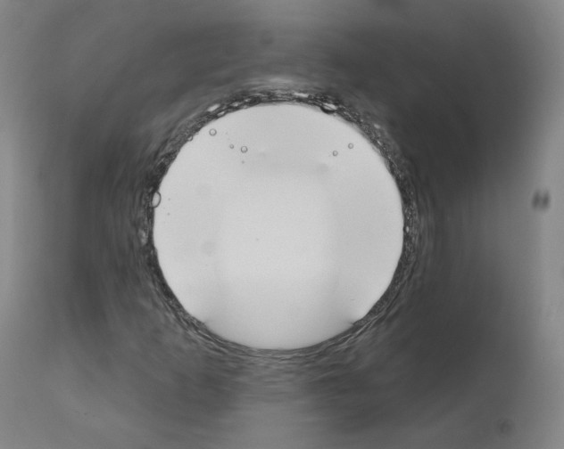 X0000110901253200907301558