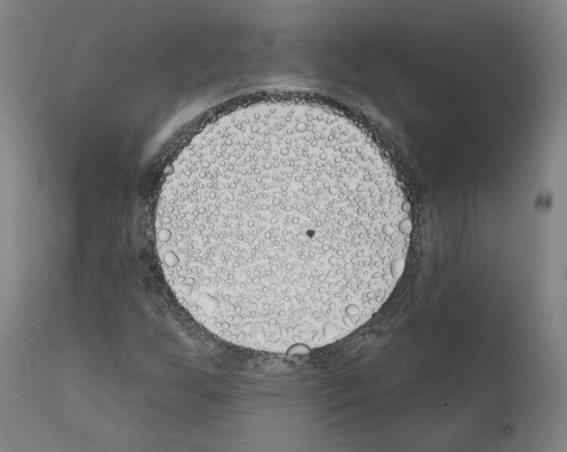 X0000110901255200907301558