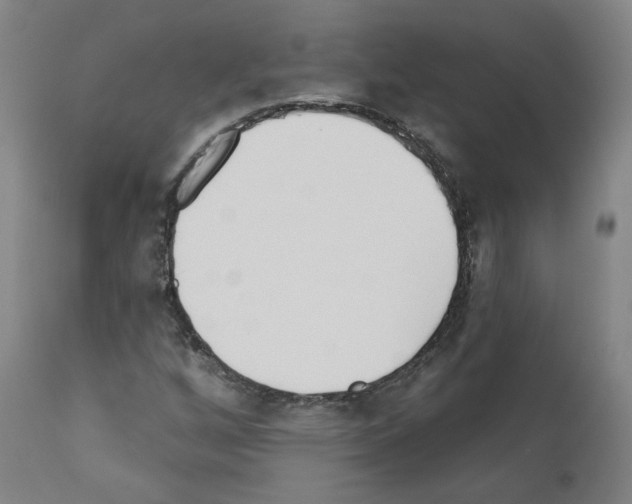 X0000110901256200907301558