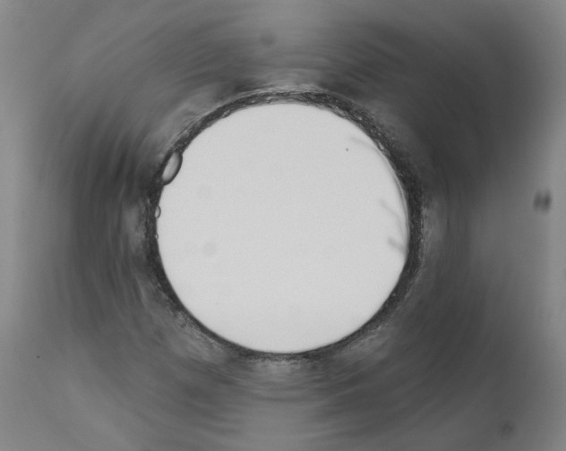 X0000110901257200907301558