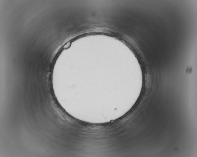 X0000110901260200907301558