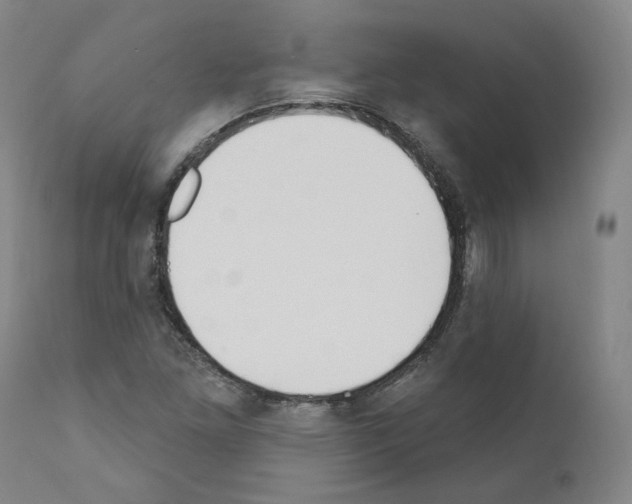 X0000110901261200907301558