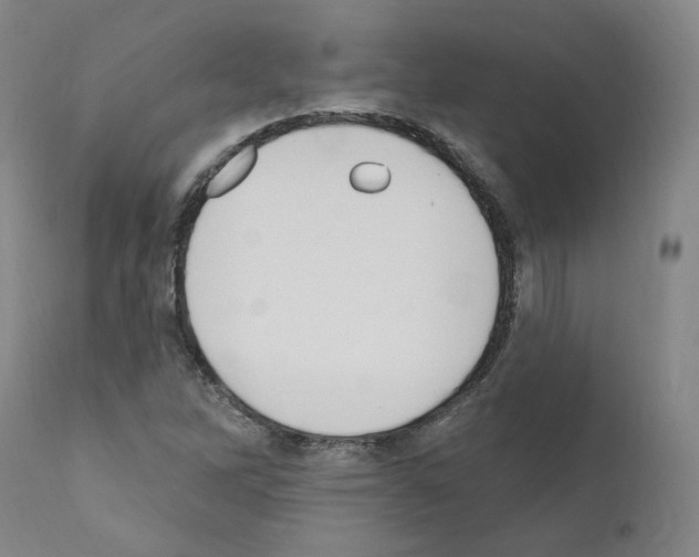 X0000110901262200907301558