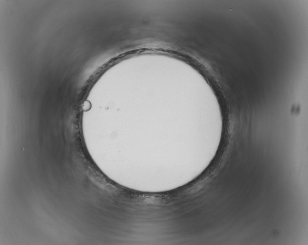 X0000110901263200907301558