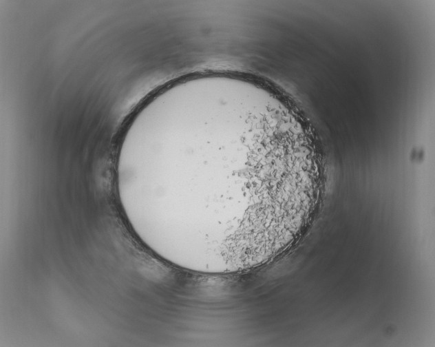 X0000110901266200907301558