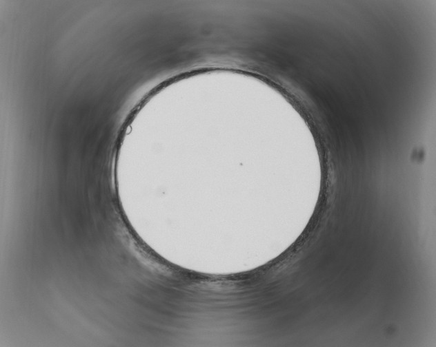 X0000110901272200907301558