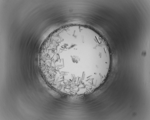 X0000110901274200907301558