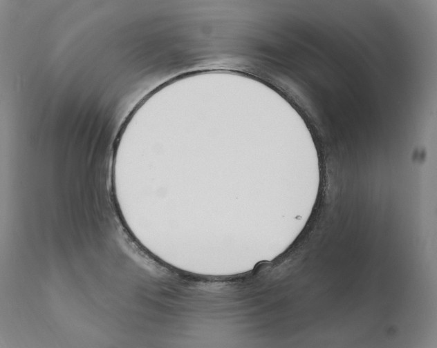 X0000110901276200907301558