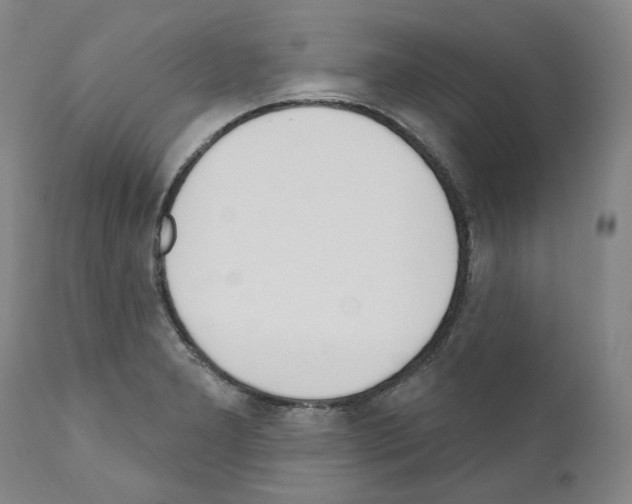 X0000110901277200907301558