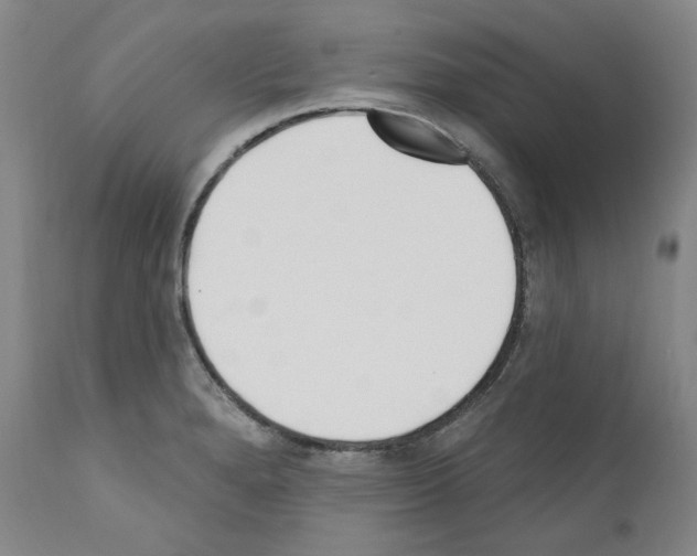 X0000110901280200907301558