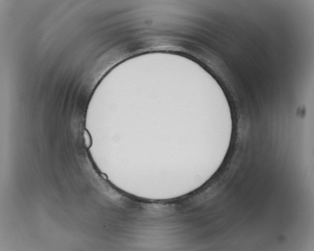 X0000110901281200907301558