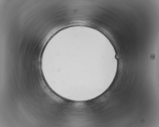 X0000110901283200907301558