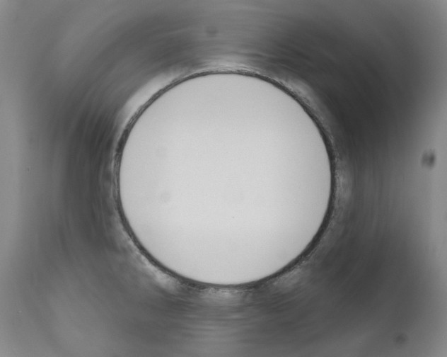 X0000110901286200907301558